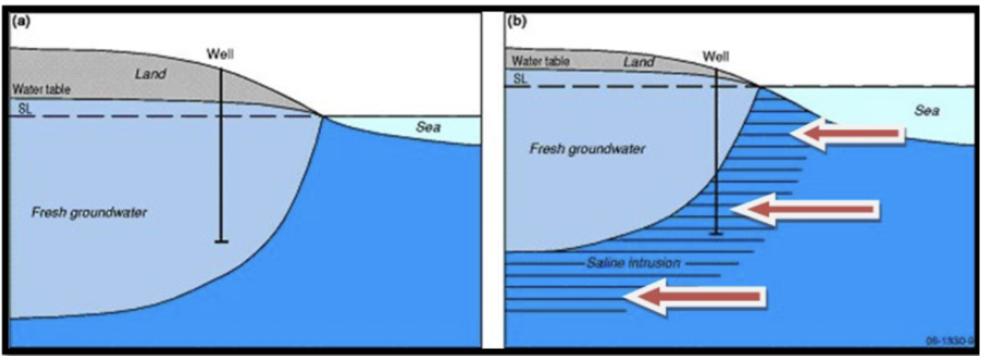<p>Impacts of Warming &amp; Increasing Atmospheric CO2: <span>What are impacts of sea level rise? </span></p>