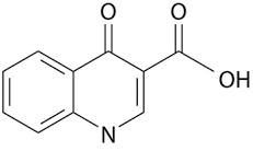 <p>name of the structure: </p>