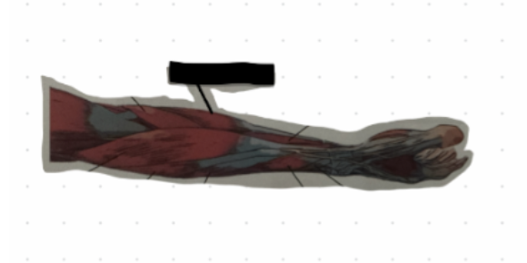 term image