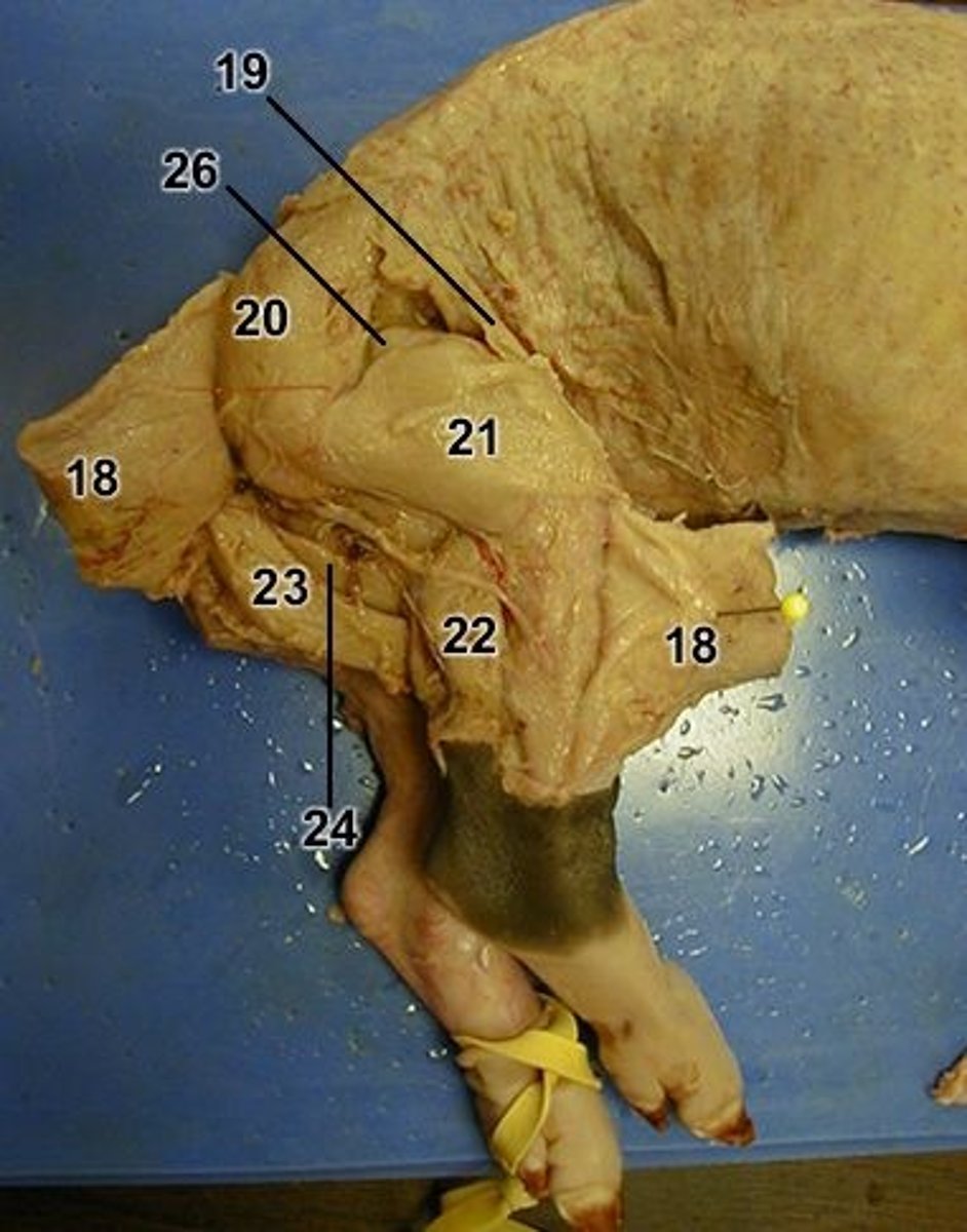 <p>22 = ?</p>