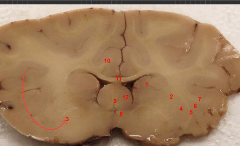 <p>what area is this </p>