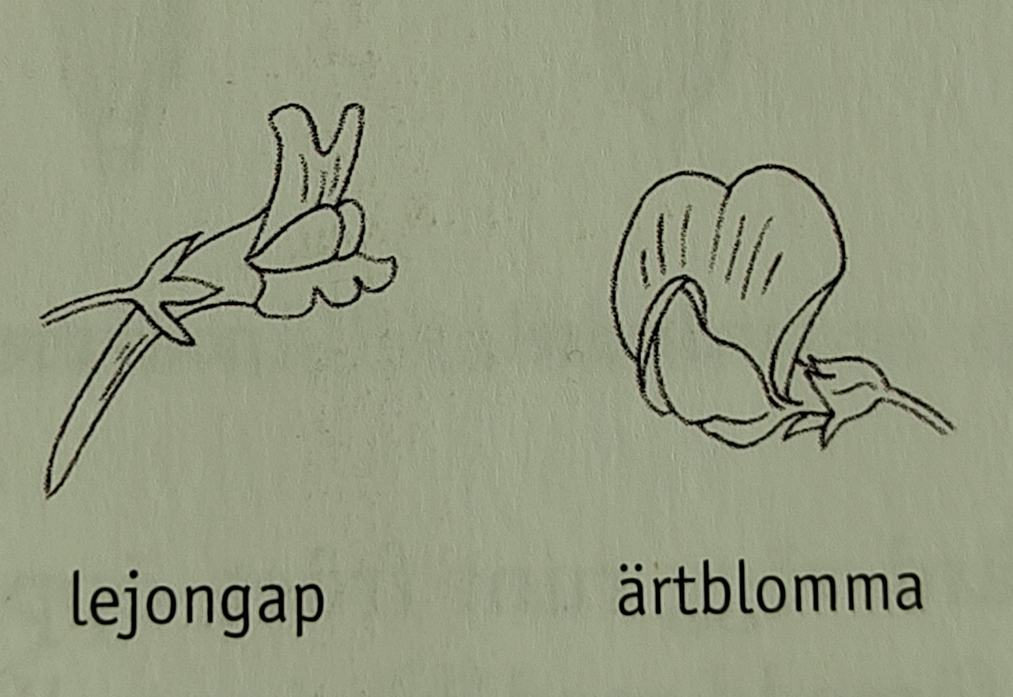 <p></p>