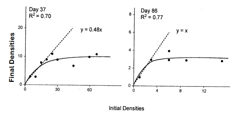 <p>density independent before maturing</p><p>density dependent after maturity: gobies become vulnerable to predators during territorial combats + sexual displays</p>