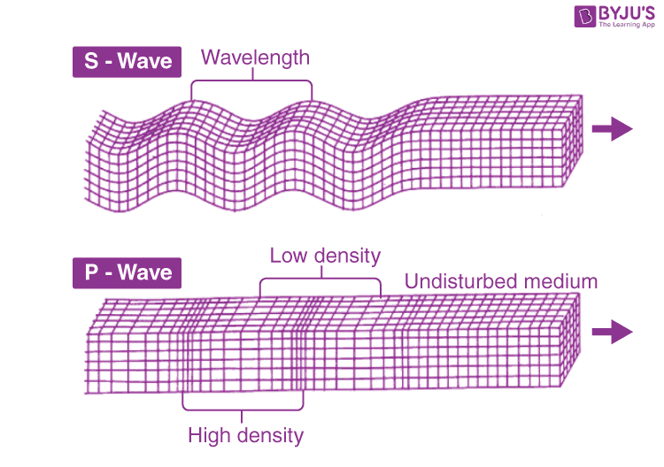 <ul><li><p>Also called secondary / shear waves</p></li><li><p>Body wave ( second to arrive, 60% slower than P waves)</p></li><li><p>Shear motion: only travels through solids</p></li><li><p>Speed: 4-5 km</p></li><li><p>Shakes house complex, mostly <strong><em>horizontal</em></strong></p></li><li><p><strong><em>Causes more damage than P waves </em></strong></p></li></ul><p></p>