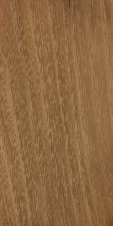 <p>Ring porous</p><p>Thinner rays visible with 10x handlens</p><p>many tyloses in springwood vessels</p><p>discontinuous bands of parenchyma in summerwood</p><p>greenish / yellow heartwood, heavy</p>