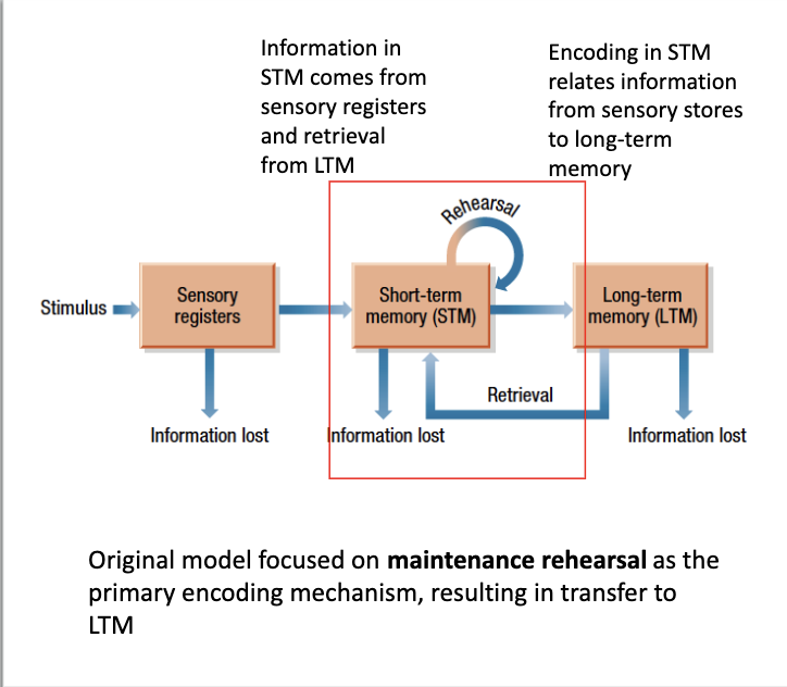 <ul><li><p>Our conscious representation of ‘the present moment’.</p></li><li><p>A temporary store in which we integrate current sensory experience with long-term memory to achieve current goals </p></li><li><p>Information comes from the sensory registers and retrieval from long term memory</p></li><li><p>Encoding in the short term memory related information from sensory stores to long-term memory. </p></li><li><p>Capacity → Limited </p></li><li><p>Duration → 15-30 seconds</p></li></ul><p></p>