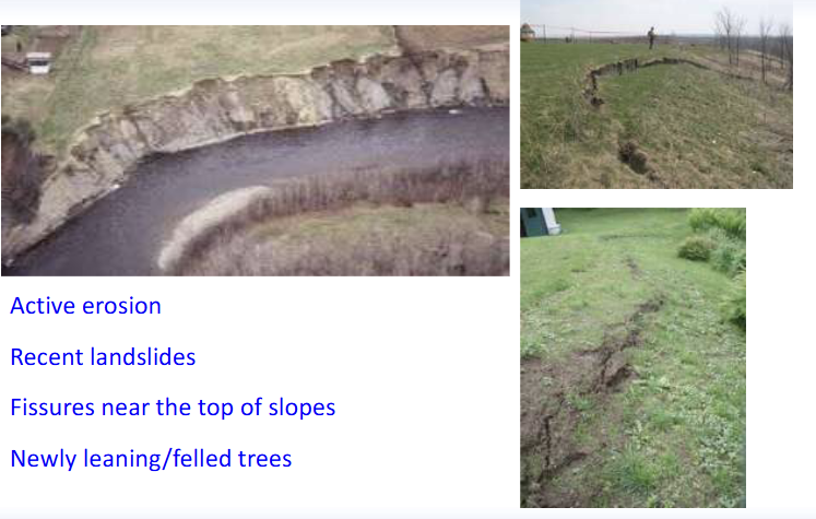 <ol><li><p>Active erosion</p></li><li><p>Recent landslides</p></li><li><p>Fissures near the top of slopes</p></li><li><p>Newly leaning/felled trees</p></li></ol><p></p>