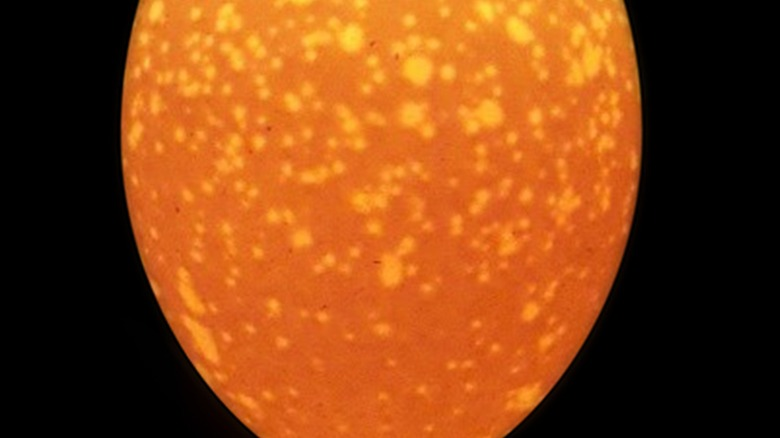 term image