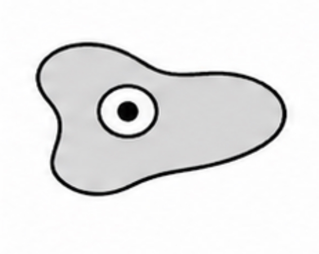 <p>SCIENTIFIC NAME</p>