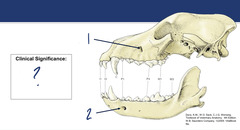 <p>What is 2?</p>