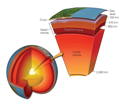<ul><li><p>upper mantle</p></li><li><p>transition zone</p></li><li><p>lower mantle</p></li></ul><p></p>