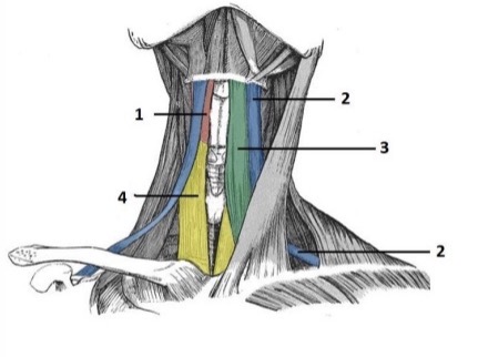 <p>4</p>