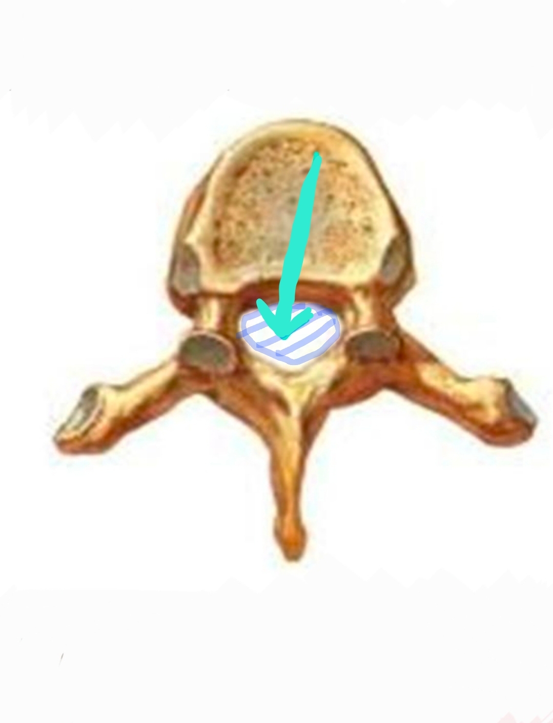 <p>Qual é o nome?</p>