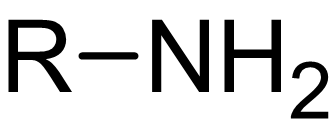 <p>Organic compounds that contain carbon-nitrogen bonds. </p>