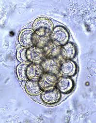 <p>What is this?</p>