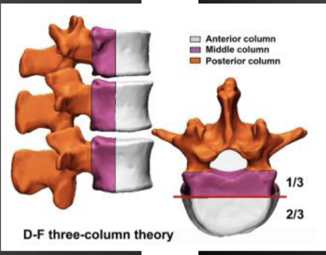 <p>What are the three columns</p>