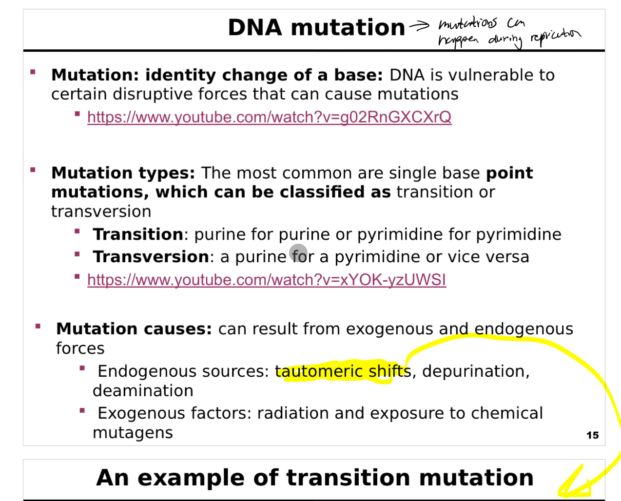 <p><span>This slide introduces the concept of <strong>mutations</strong> in DNA, their types, and possible causes, supported by video links for further explanation.</span></p><p><span><strong>What is a mutation?</strong></span></p><p><span>Defined as an <strong>identity change of a base</strong> in the DNA sequence.</span></p><p><span>DNA is inherently <strong>vulnerable to disruptive forces</strong>—both internal and external—that can alter its chemical structure and lead to mutations.</span></p><p><span><strong>Types of mutations:</strong></span></p><p><span>The most common are <strong>single-base (point) mutations</strong>.</span></p><p><span>Two key categories:</span></p><p><span><strong>Transition:</strong></span></p><p><span>Substitution of one purine for another (A </span><span data-name="left_right_arrow" data-type="emoji">↔</span><span> G) or one pyrimidine for another (C </span><span data-name="left_right_arrow" data-type="emoji">↔</span><span> T).</span></p><p><span><strong>Transversion:</strong></span></p><p><span>Substitution of a purine for a pyrimidine or vice versa (A/G </span><span data-name="left_right_arrow" data-type="emoji">↔</span><span> C/T).</span></p><p><span>These changes can affect protein coding and regulation.</span></p><p><span><strong>Mutation causes:</strong></span></p><p><span><strong>Endogenous sources</strong> (within the cell):</span></p><p><span><strong>Tautomeric shifts:</strong> temporary rearrangements of base structure.</span></p><p><span><strong>Depurination:</strong> loss of a purine base.</span></p><p><span><strong>Deamination:</strong> conversion of cytosine to uracil, adenine to hypoxanthine, etc.</span></p><p><span><strong>Exogenous sources</strong> (environmental factors):</span></p><p><span><strong>Radiation:</strong> UV light, X-rays, gamma rays.</span></p><p><span><strong>Chemical mutagens:</strong> reactive chemicals that modify DNA bases.</span></p><p><span><strong>Additional resources:</strong></span></p><p><span>Two YouTube links are provided for students to explore mutation mechanisms in more depth.</span></p><p><span><strong>Key message:</strong></span></p><p><span>Mutations occur naturally and under external influences. Understanding their types and causes is crucial for studying genetic variability, disease, and evolution.</span></p>