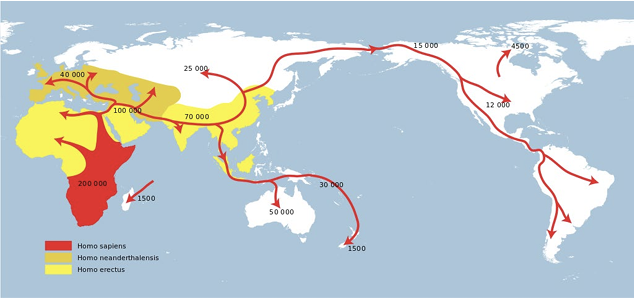<p>what is the major reason humans migrated </p>