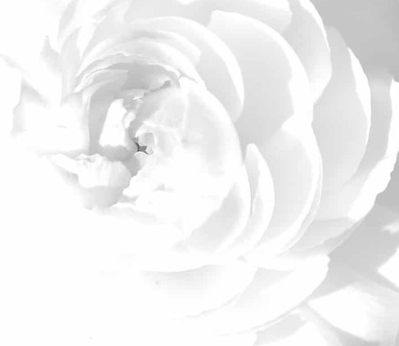 <p>White</p>