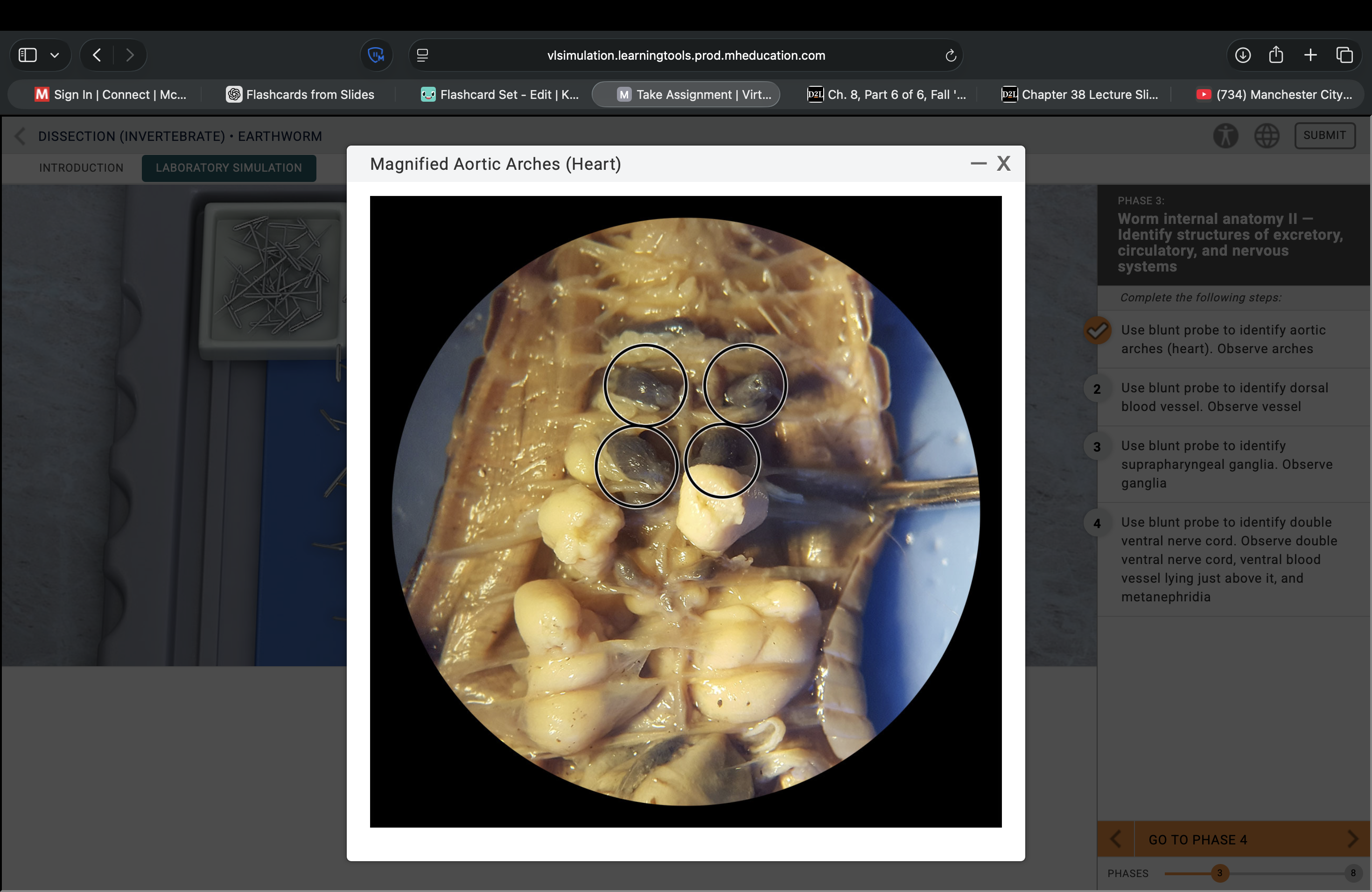 <p>What structure is this pointing to?</p>