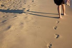 <p>step</p>