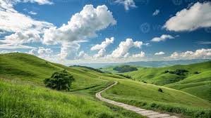 <p>the small path that leads up to the fields </p>