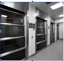 <p>animal cubicles</p>