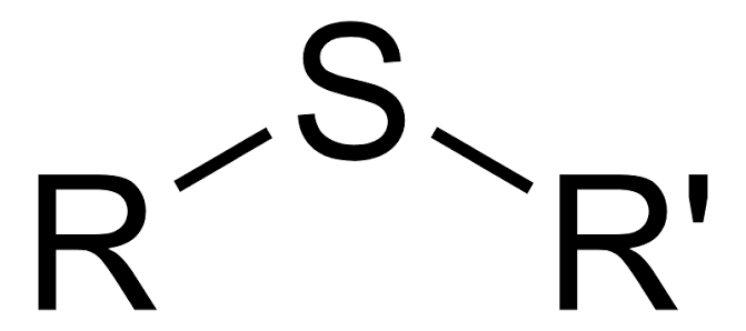 <p>Sulfur bonded to two alkyl groups. </p>