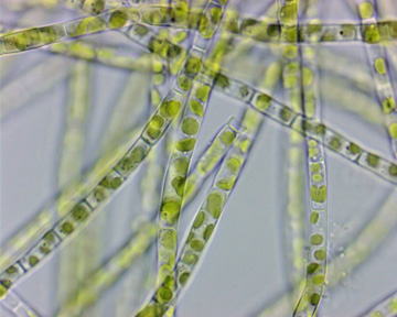 <img src="blob:null/23e323e8-5661-4db9-b3a8-27c6639465dc"><p></p>