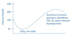 <p>Describe this glucose curve and what you would do to fix it</p>