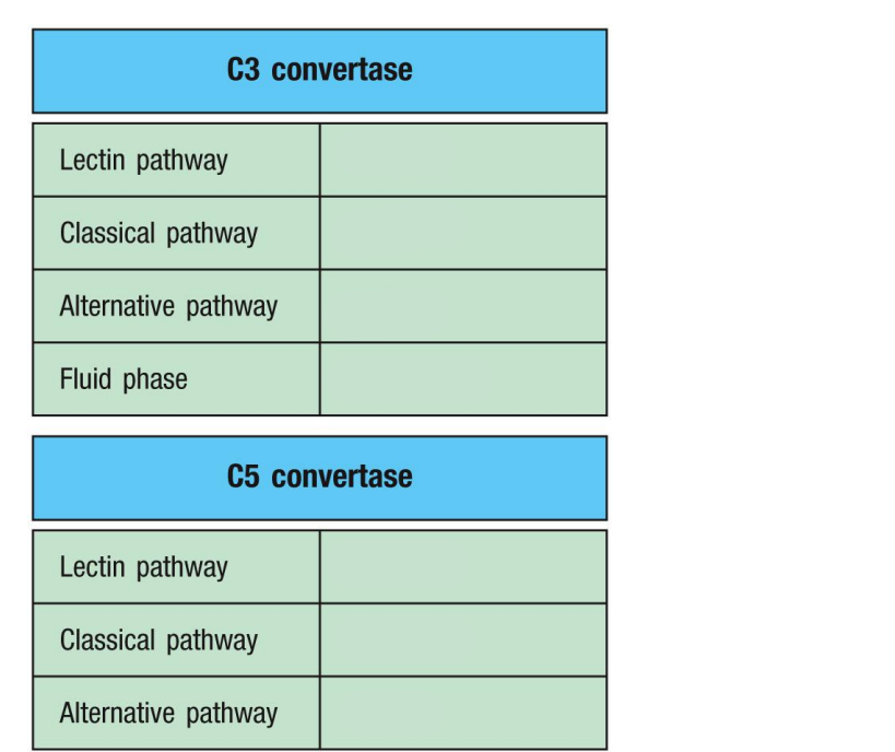 <p>Fill in the blanks and name what two parts combine to form it.</p>