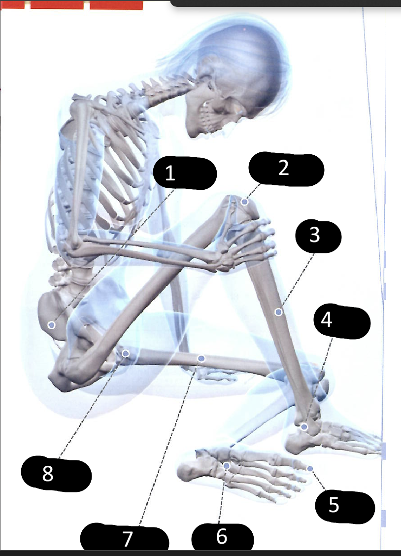 <p>8.</p>