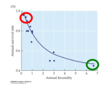 <p>How does lifetime reproductive output compare between albatrosses and sparrows?</p>