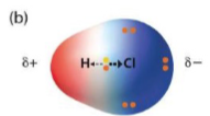 <p>Polar covalent bonds share electrons _____________, resulting in partial positive &amp; negative charges</p>