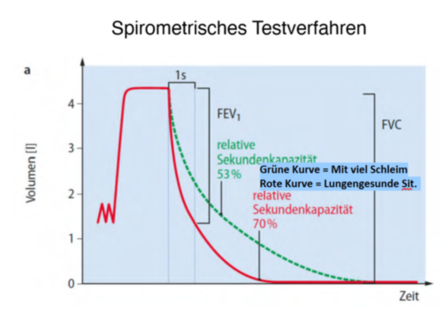 <p>Die Sekundenkapazität nimmt ab. -> FEV1-Wert</p><p>-> Bild mit Kurve betrachten</p>
