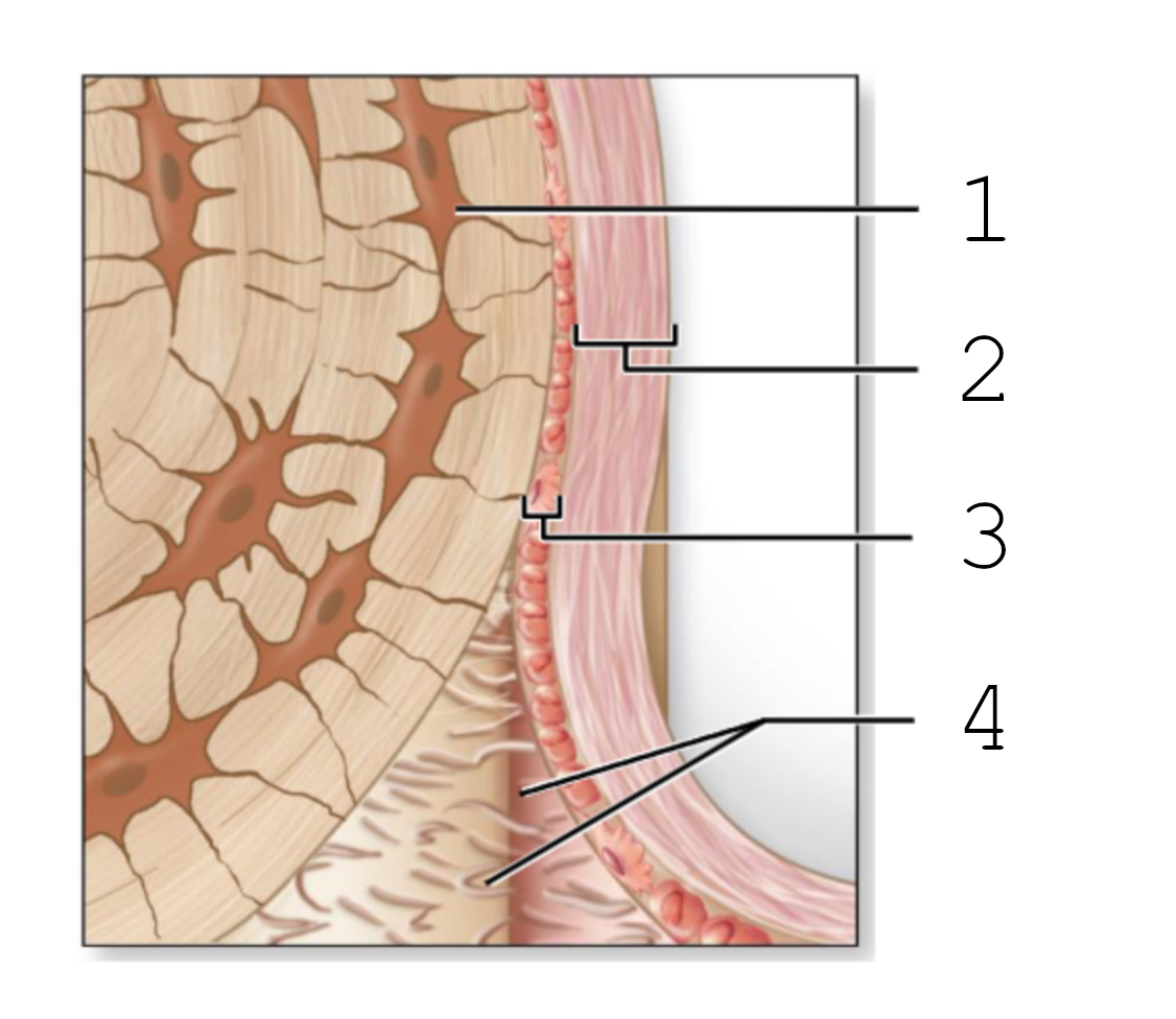 <p>3</p>
