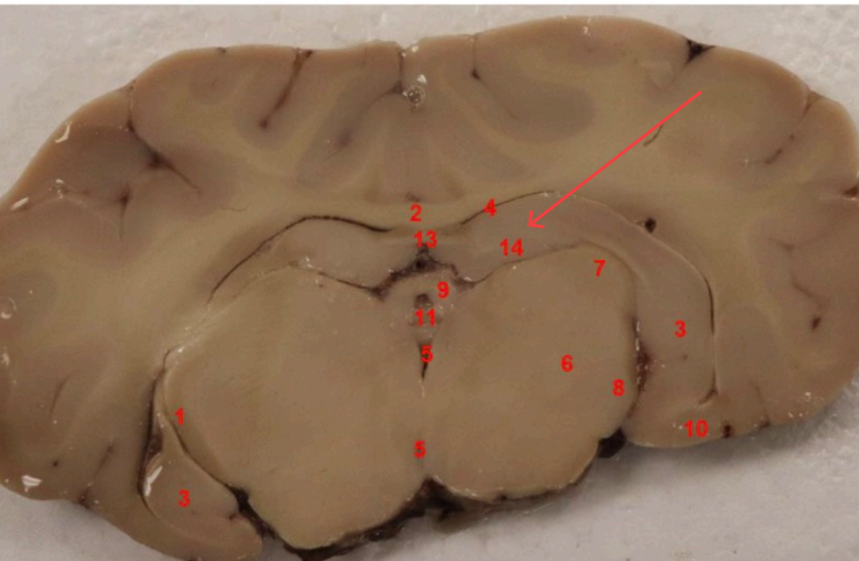 <p>what area is this</p>