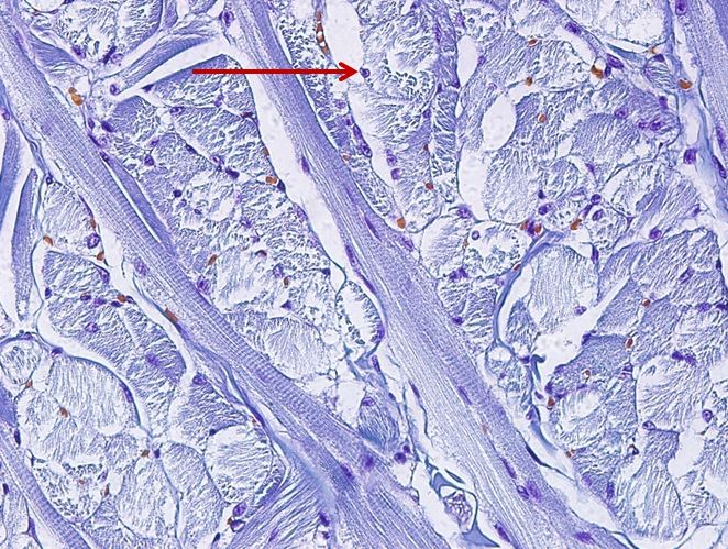 <p>Cấu trúc gì ?</p>