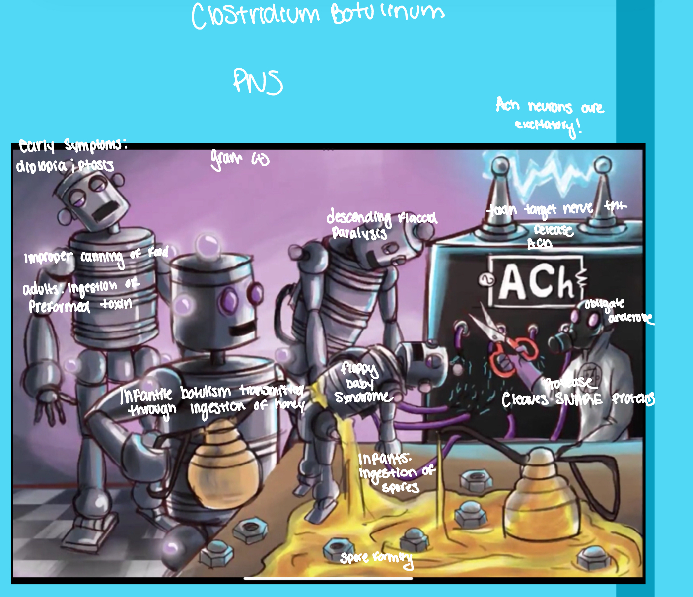 <p><span><span>Clinical classification?</span></span></p>