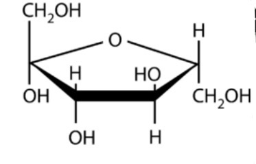 <p>Identify this.</p>