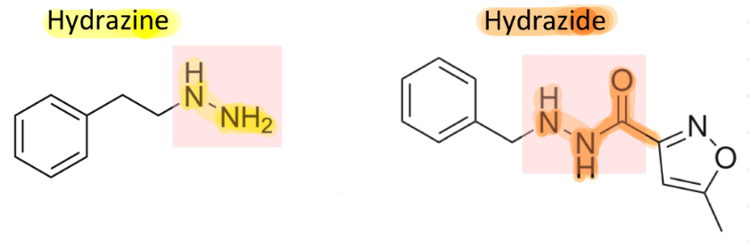 <p>which class are these structures indicative of?</p>