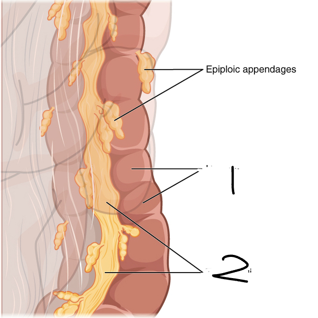 <p>1</p>