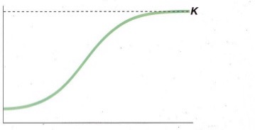 <p>Logistic (“S-shaped”) Growth:</p>