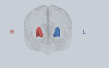 <p>Associates stimuli with responses based on learned context</p>