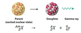 <ul><li><p>When gamma ray is emitted from isotope, the nucleus becomes less energetic but there is no change to its structure</p><ul><li><p>This is because gamma rays have no mass or charge</p></li></ul></li></ul><p></p>