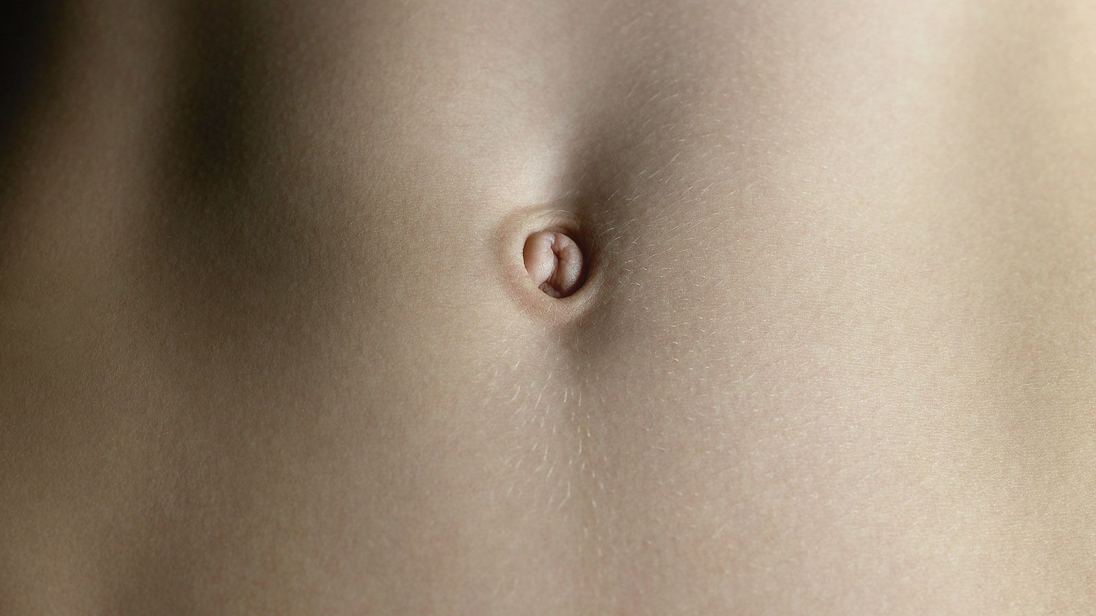 <p>Belly button</p>
