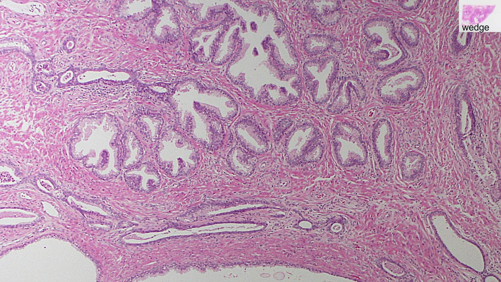 <p>What is this and how do we know?</p>