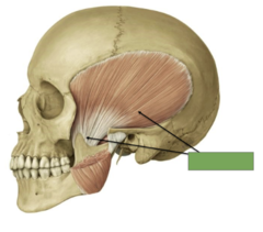 <p>This is the</p>
