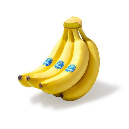 <p></p>