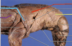 <p>what is the yellow line pointing to?</p>